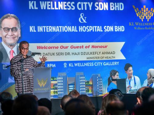 DATUK SERI DR DZULKEFLY AHMAD