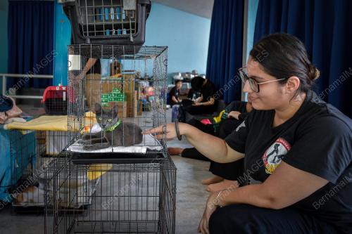 HAIWAN PELIHARAAN DISELAMAT DARI LOKASI KEBAKARAN