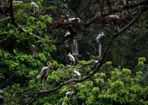 ZOO NEGARA