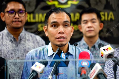 SYAHREDZAN JOHAN