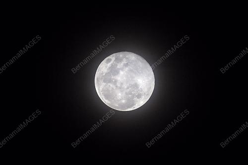 SUPER PINK MOON