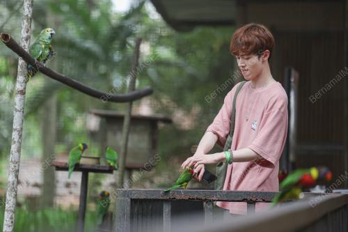 KL BIRD PARK TARIKAN PENGUNJUNG