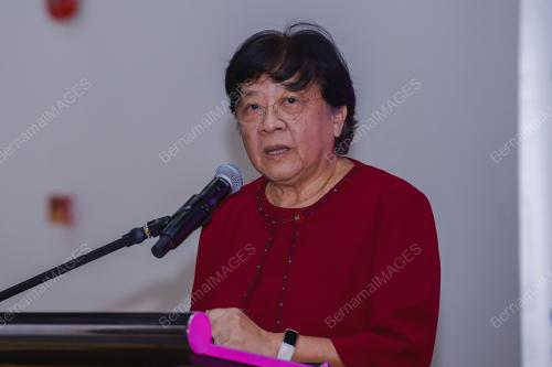 PROFESSOR DATUK DR LOOI LAI MENG