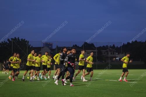 LATIHAN HARIMAU MALAYA