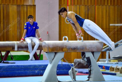 ATLET SUKAN GIMNASTIK