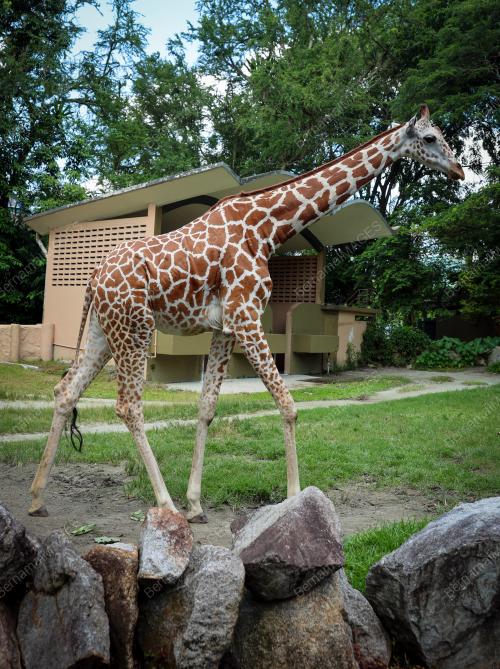 ZOO NEGARA