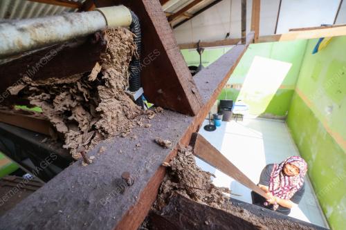 ASNAF MOHON BANTUAN AKIBAT SERANGAN ANAI ANAI