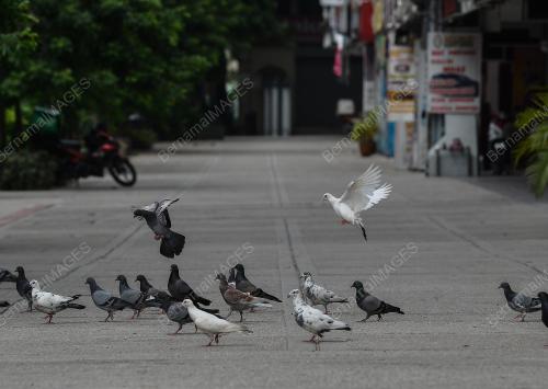 TINJAUAN PERINTAH KAWALAN PERGERAKAN 3.0 DAN LOCKDOWN