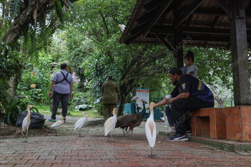 KL BIRD PARK TARIKAN PENGUNJUNG