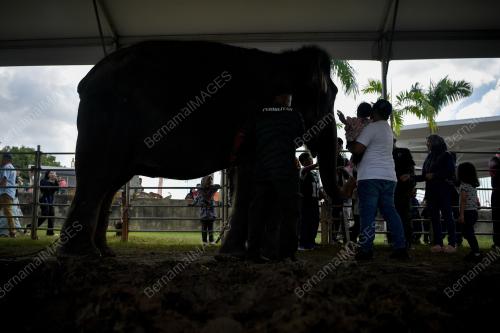 SAMBUTAN HARI PENEROKA 2024