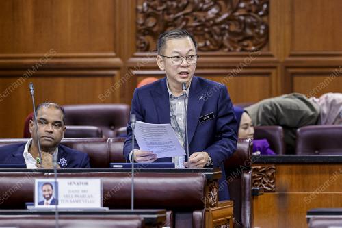DATUK CHAN FOONG HIN