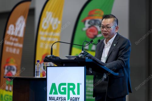 DATUK CHAN FOONG HIN