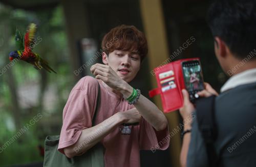KL BIRD PARK TARIKAN PENGUNJUNG