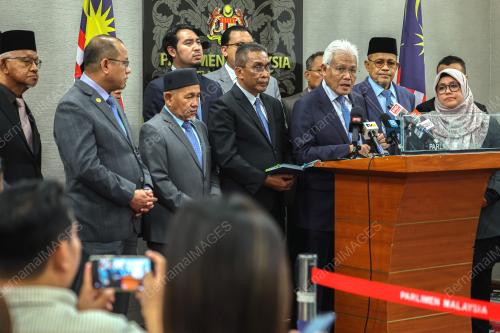 DATUK SERI HAMZAH ZAINUDIN