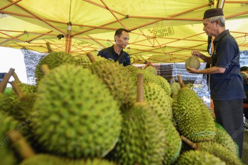 DURIAN