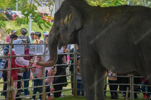 SAMBUTAN HARI PENEROKA 2024