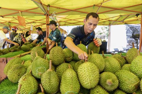 DURIAN