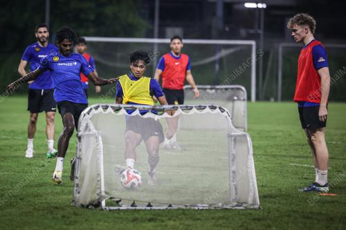 SKUAD HARIMAU MALAYA