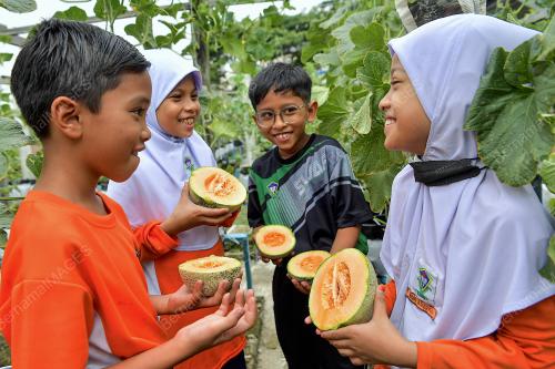 TEMBIKAI WANGI SEKOLAH RENDAH JALAN AIR PANAS
