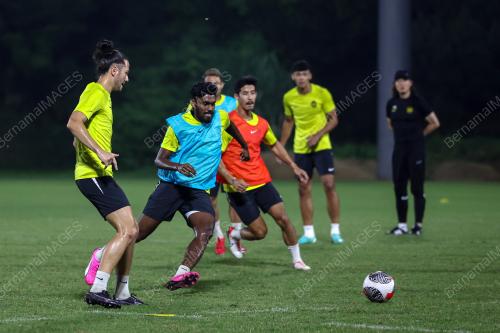 HARIMAU MALAYA