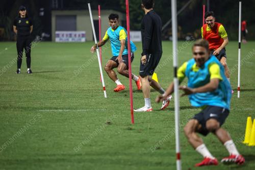 HARIMAU MALAYA