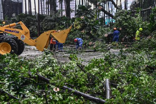 POKOK TUMBANG JALAN PINANG