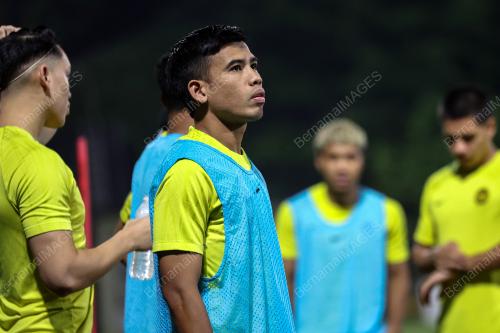 HARIMAU MALAYA