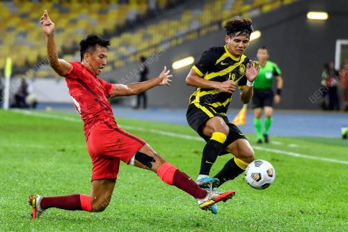 HARIMAU MALAYA