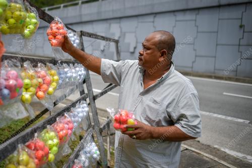 PENJUAL BOLA GOLF TERPAKAI