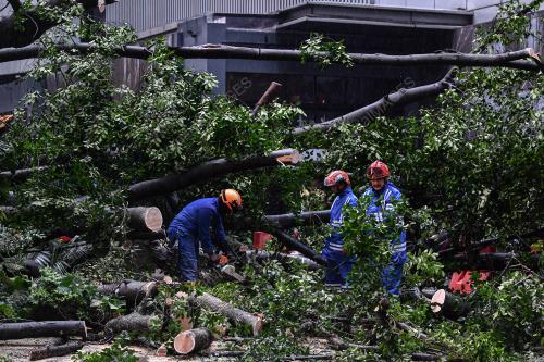 POKOK TUMBANG JALAN PINANG