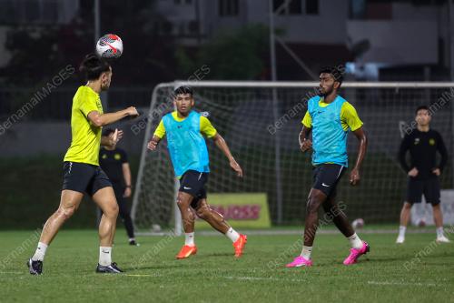 HARIMAU MALAYA