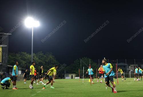HARIMAU MALAYA