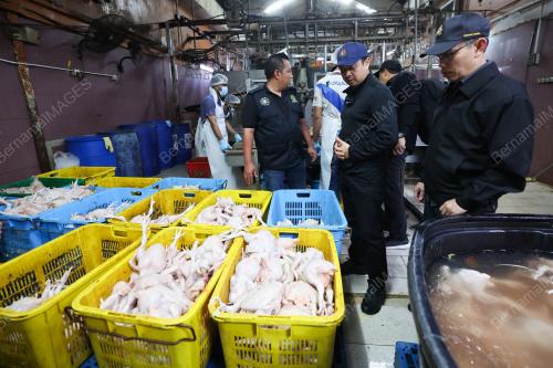 OPERASI RUMAH PENYEMBELIHAN AYAM KPDN SELANGOR