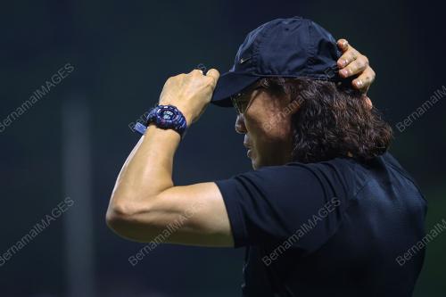HARIMAU MALAYA