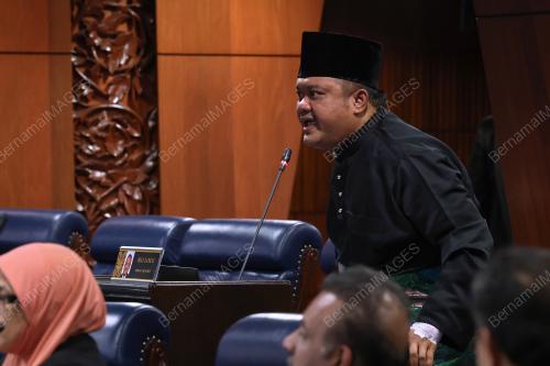 MOHD SANY HAMZAH
