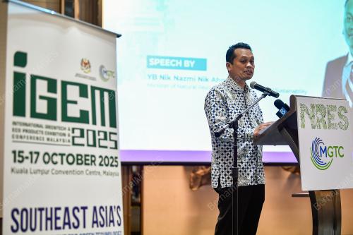 NIK NAZMI NIK AHMAD