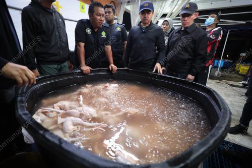 OPERASI RUMAH PENYEMBELIHAN AYAM KPDN SELANGOR