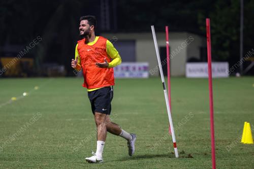 HARIMAU MALAYA