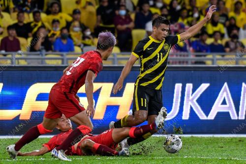 HARIMAU MALAYA