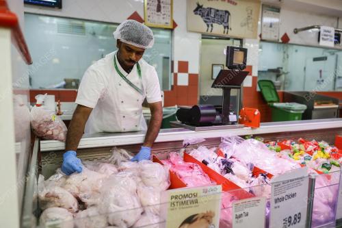 TINJAUAN AYAM MENTAH