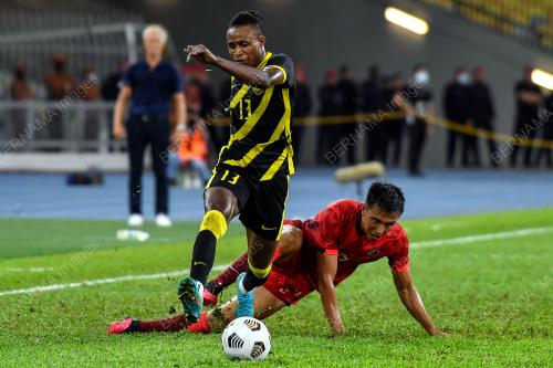 HARIMAU MALAYA