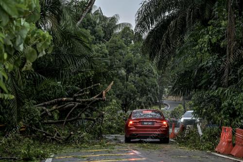 TINJAUAN POKOK TUMBANG