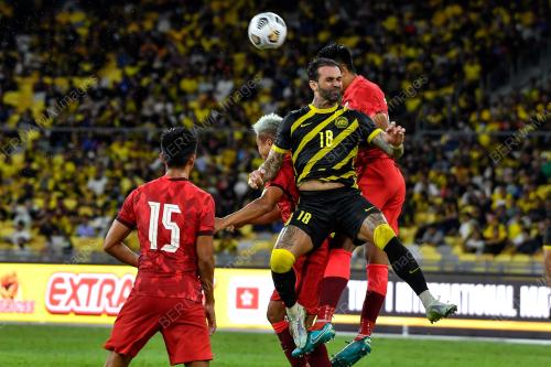 HARIMAU MALAYA