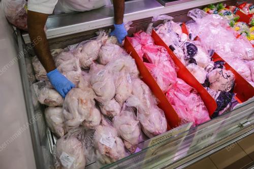 TINJAUAN AYAM MENTAH