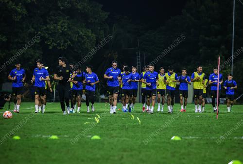 HARIMAU MALAYA