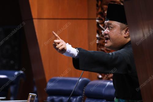 MOHD SANY HAMZAH