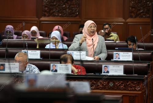 PERSIDANGAN DEWAN NEGARA