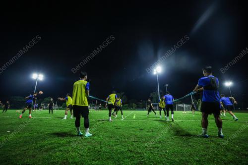 HARIMAU MALAYA
