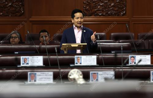 PERSIDANGAN DEWAN NEGARA