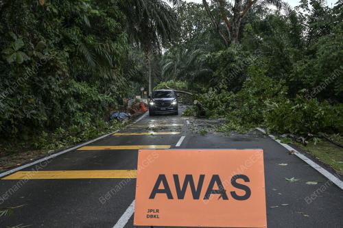 TINJAUAN POKOK TUMBANG